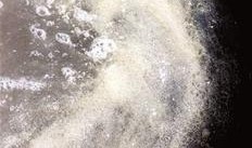 昆仑山死谷爆料视频,揭秘神秘爆料视频背后的真相